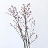Rapsodia Nochevieja Lámpara de Flor Eterna Rama Estilo Zen de Gama Alta Wabi-Sabi Decoración de Sala de Estar Flores Secas Ramas Secas