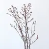 Materiales de Rama de Flor Eterna para Arreglos Florales de Estilo Chino con Ramas de Fruta Seca para Decoración de Interiores del Hogar