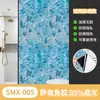 Película de Vidrio Opaca Total Estilo Ins Transfronteriza, Anti-Miradas Indiscretas, Parasol, Película para Ventana de Protección Solar, Pegatina Opaca para Ventana
