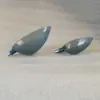 Cuchara de doble sección de carbono cuchara madre cuchara doble cuchara de tamaño cuchara para lanzar cebo cuchara para lanzar cebo cuchara para lanzar lejos nido