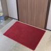 Alfombra sencilla roja, gris y azul para puerta de entrada, cocina, absorbente de agua y aceite, antideslizante, fina, con anillo, felpudo para piso de puerta de entrada