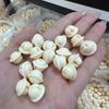 Pulsera de fruta Bodhi tallada en marfil con cuentas y campana, accesorio súper lindo y bonito, accesorios de mano para hombres y mujeres.