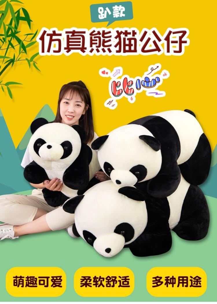 趴款熊猫 (1).jpg