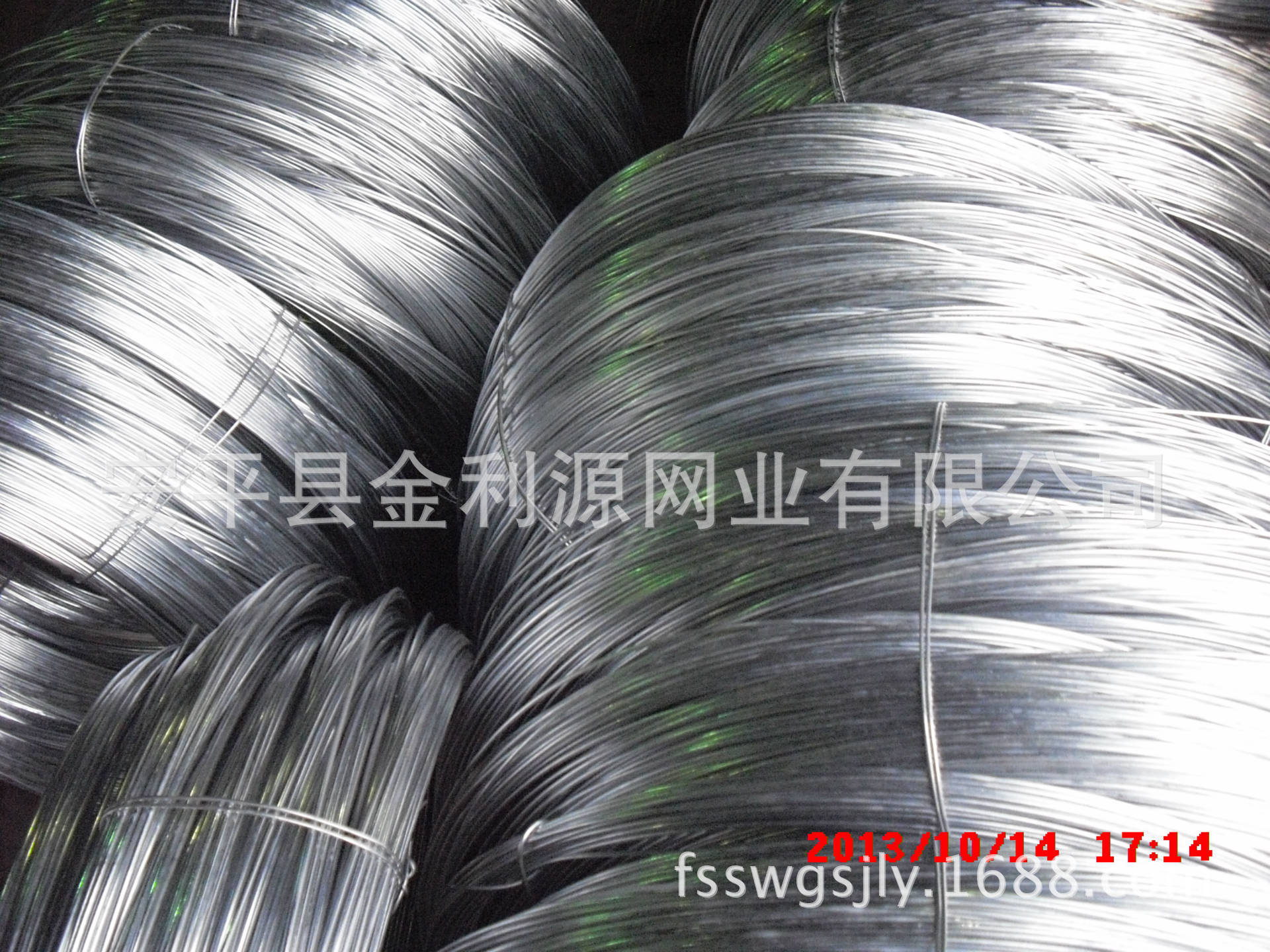 CIMG4393 (2)
