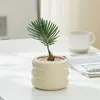Bonsái Tocón Viejo Bonsái Cuatro Estaciones Plantas Fáciles de Cultivar Escritorio Oficina Floración Resistente a la Sequía Plantas Verdes Plantas Pequeñas en Maceta