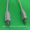 Cable de datos de impresión USB AM a BM, cable de extensión, cable de impresora, cable de computadora, productos digitales