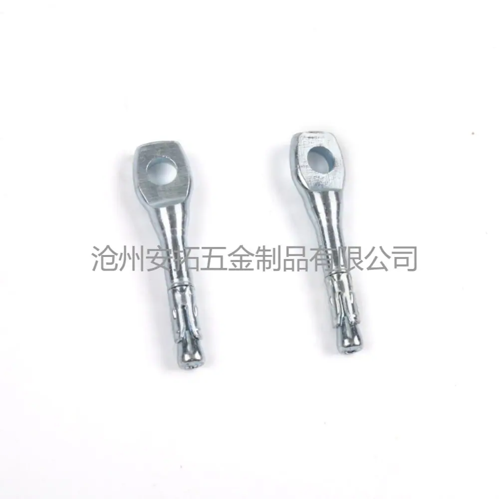 鱼眼壁虎1
