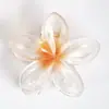 Presilha de Cabelo Flor de Frangipani Mais Vendida, Presilha de Garra para Cabelo, Presilha Tubarão, Tamanho Grande para Cabelos Grossos, Acessórios Populares, Joias Yiwu