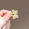 Pinza Pequeña de Garra de Mariposa para Mujer, Pasador para Media Recogida en la Parte Trasera de la Cabeza, Accesorio para el Cabello, Pinza para Flequillo, Pinza Lateral, Pinza Pequeña Superior, Pasador de Moda