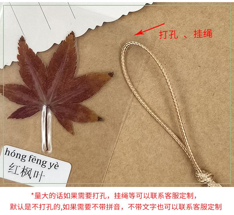 详情干花_04_副本.jpg