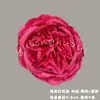 Flor de Rosa de Austin Simulación Cabeza de Flor Flor de Seda Flor de Boda Fondo Flor de Pared Arreglo Floral Cabeza de Flor de Simulación Venta Directa de Fábrica