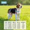 Zapatos para Perros con Diseño de Cuatro Correas para Evitar que se Caigan, Transpirables, Impermeables, Antideslizantes para Salidas de Primavera y Verano, Adecuados para Perros Pequeños