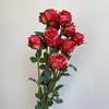 10 Rosas de Princesa Artificiais para Feriados para Decoração de Casa, Adereços de Foto, Buquês de Mesa para Casamento