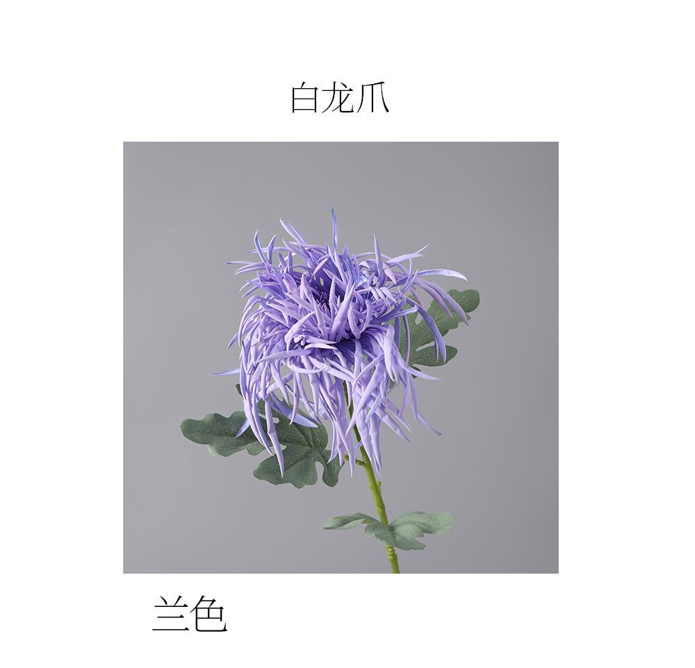 详情_05.png