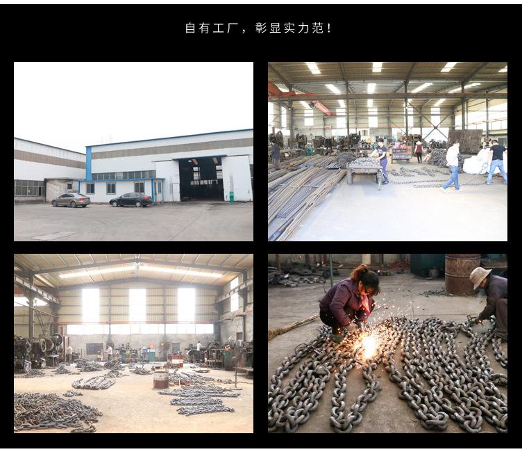 电磁吸盘吊链_12