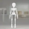 Popular Transfronteiriço Esqueleto Impresso em 3D com Articulações Móveis, Brinquedo para Festa de Halloween, Ímã de Geladeira Ornamentado Criativo