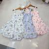 Nanyou Europeo, Americano y Australiano de Nicho Vestido Falda Tutú Estampada Cintura Encaje Ballena Tirantes Falda Corta