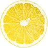 Manta de Fábrica de Origen Aguacate Divertido Estampado Manta Gigante Realista con Estampado de Frutas Manta para Niños Exclusiva Transfronteriza