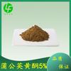 Flavonoides de diente de león 5% extracto de diente de león esteroles de diente de león suministro Lingfeng polvo inglés
