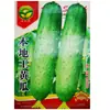 Grande número de sementes de vegetais para atacado horta pimenta plantio de primavera sementes de vegetais pepino barraca colza