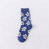 Calcetines de Mujer Primavera y Verano Calcetines de Media Caña ins Calcetines de Moda Estilo Japonés Calcetines Urbanos Estudiantes Calcetines para Niños Flores Dulce Combinable Calcetines de Algodón