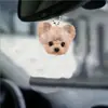 Colgante Decorativo para Coche de Perro con Lazo Plano de Acrílico, Modelo Nuevo Transfronterizo