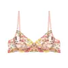 Lencería Sexy Ultra Delgada para Mujer, Sujetador Push-Up de Encaje, Conjunto de Sujetador Transparente de Malla Bordada, Estilo Sexy Puro Deseo