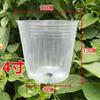 Taza de Nutrición Taza para Plántulas Cultivo de Flores y Taza para Trasplante de Plántulas Cultivo de Orquídeas Maceta Transparente Naranja Ombligo Engrosada