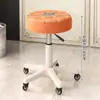 Taburete de Belleza con Ruedas, Silla para Barbería, Silla Especial Elevable para Salón de Belleza, Silla Giratoria Ajustable, Taburete Redondo, Silla para Peluquería y Manicura