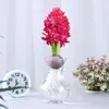 Venta al por mayor de fábrica Bulbos de jacinto Set hidropónico con botella Flores de cultivo en agua de invierno Plantas en maceta resistentes al frío Interior/Exterior