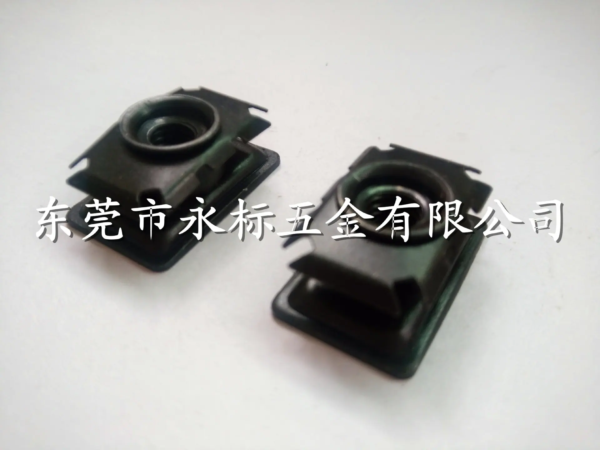 10IMG20160527102955