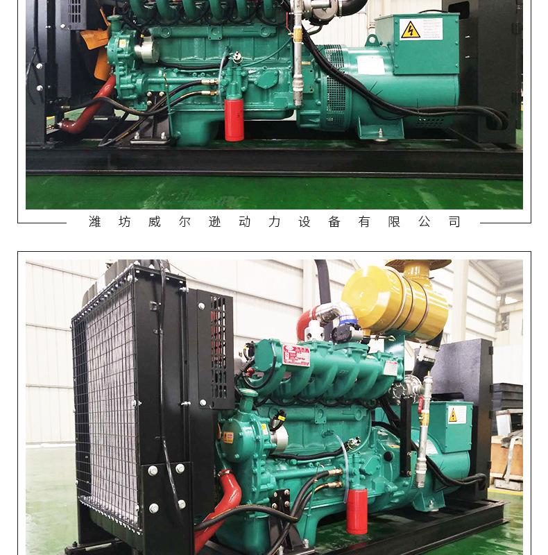 潍坊20305075100120150kw燃气发电机组天然气