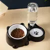 Comedero para Gatos con Tapa Inclinada, Comedero para Perros, Comedero para Comida de Gato, Acero Inoxidable de Doble Compartimento, Relleno Automático de Agua para Mascotas, Dispositivo de Alimentación de Agua Todo en Uno.