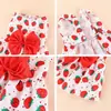 Saia para Filhote Primavera Verão Cachorro Vestido Princesa Pet Saia Vestido Fofo para Cachorro Laço Renda para Filhote Pequeno Médio Poodle Chihuahua Roupa de Cachorro
