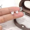 Brincos Pequenos de Borla de Zircônia Literários e Artísticos Estilosos de Estrela para Mulheres Novo Design de Nicho Popular Brincos de Luxo Acessíveis de Alto Nível