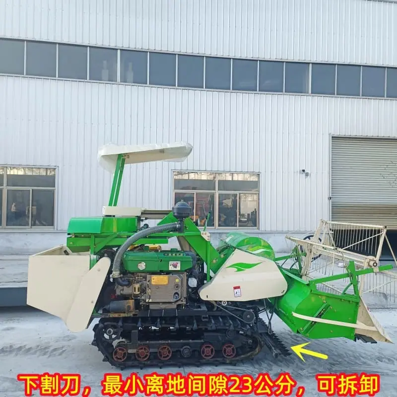 微信图片_202501131646391_副本