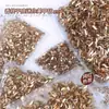Variedade de Acessórios de Nail Art Strass de Fundo Plano Transfronteiriços, Strass Irregulares de Fundo Plano Cor Champanhe, Venda Direta do Fabricante de Acessórios de Nail Art