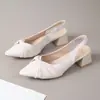 Zapatos de Punta Cerrada para Mujer con Tacón Grueso, Nuevo Estilo Primavera/Verano 2026, Correa Única, Punta Fina, Sandalias de Tacón Alto Ligeras y Cómodas
