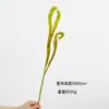 Ramas Simuladas de Epiphyllum, Plantas Verdes de Pared, Plantas Decorativas, Helechos, Helechos Cornamenta, Accesorios Florales, Helechos Hoja Cornamenta