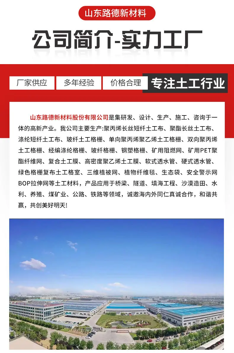 单向土工格栅_11.jpg