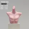 Accesorios de Maniquí para Ropa Interior de Mujer y Hombre, Maniquíes de Plástico Blanco Mate de Medio Cuerpo para Exhibición en Vitrina y Estantes de Exhibición al por Mayor