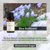 Aceites Esenciales de Aromaterapia Solubles en Aceite de Amazon, Máquina de Aromaterapia de Dos Fluidos, Velas de Uso Único, Aceites Esenciales Compuestos para DIY, Todo en Inglés