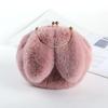 Bolso de peluche para mujer, bandolera portátil de princesa, bolso de peluche de piel sintética, nuevo estilo, bolso con cadena y orejas de conejo a juego.