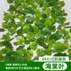 Decoración de Hoja de Uva de Ratán, Enredadera de Flores Artificiales, Planta Verde Envuelta en Tubo, Hojas Colgantes de Techo, Hiedra Verde de Plástico
