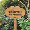 Huerto al Aire Libre Flor y Planta Guardería Jardín Siembra Tierra de Jardín Cartel de Madera Cartel de Madera Grabado Personalización