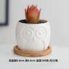 Maceteros de Cerámica para Suculentas al por Mayor Logo Impreso Decoración para el Hogar Comercio Exterior Transfronterizo Amazon Jardinería Macetas de Porcelana Blanca