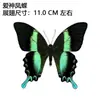 Venta Directa al Por Mayor de Fábrica de Especímenes Reales de Mariposas con Alas Extendidas, Diversos Insectos y Escarabajos, Accesorios para Fotos, Educación Científica, Especímenes Naturales