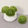 Flor de Clavel Verde Simulada Cabeza Redonda Bola de Pelo Verde Paisajismo de Micro Paisaje Interior Plantas Verdes Decoración de Sala de Estar en Casa Plantas Falsas