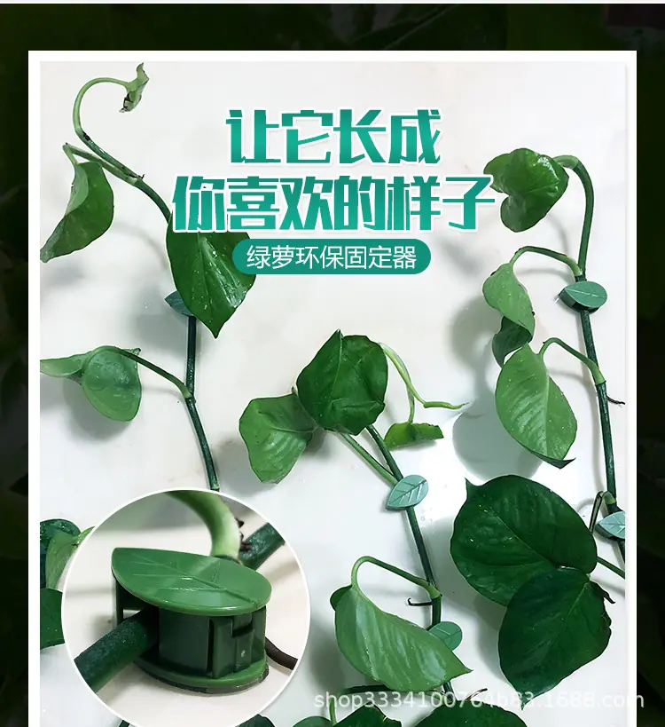 绿萝固定器1_05.jpg