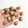 Superficie de Anillo de 15*20 mm Ágata Natural Aventurina Verde Amatista Ojo de Tigre Forma de Huevo Parche Ovalado Accesorios de Joyería DIY